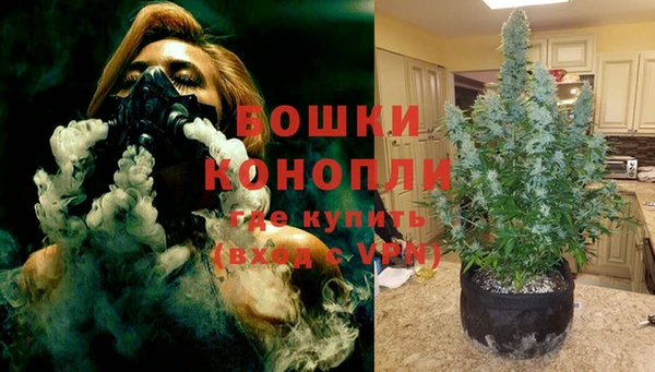 молекула духа Алзамай